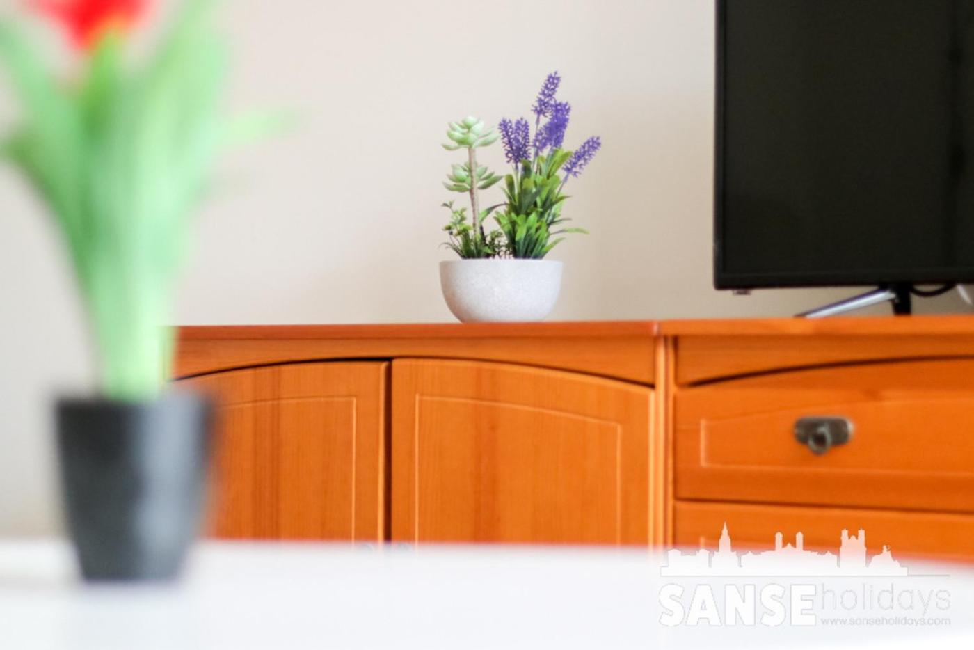 Apartamento Colon By Sanse Holidays San Sebastián Esterno foto